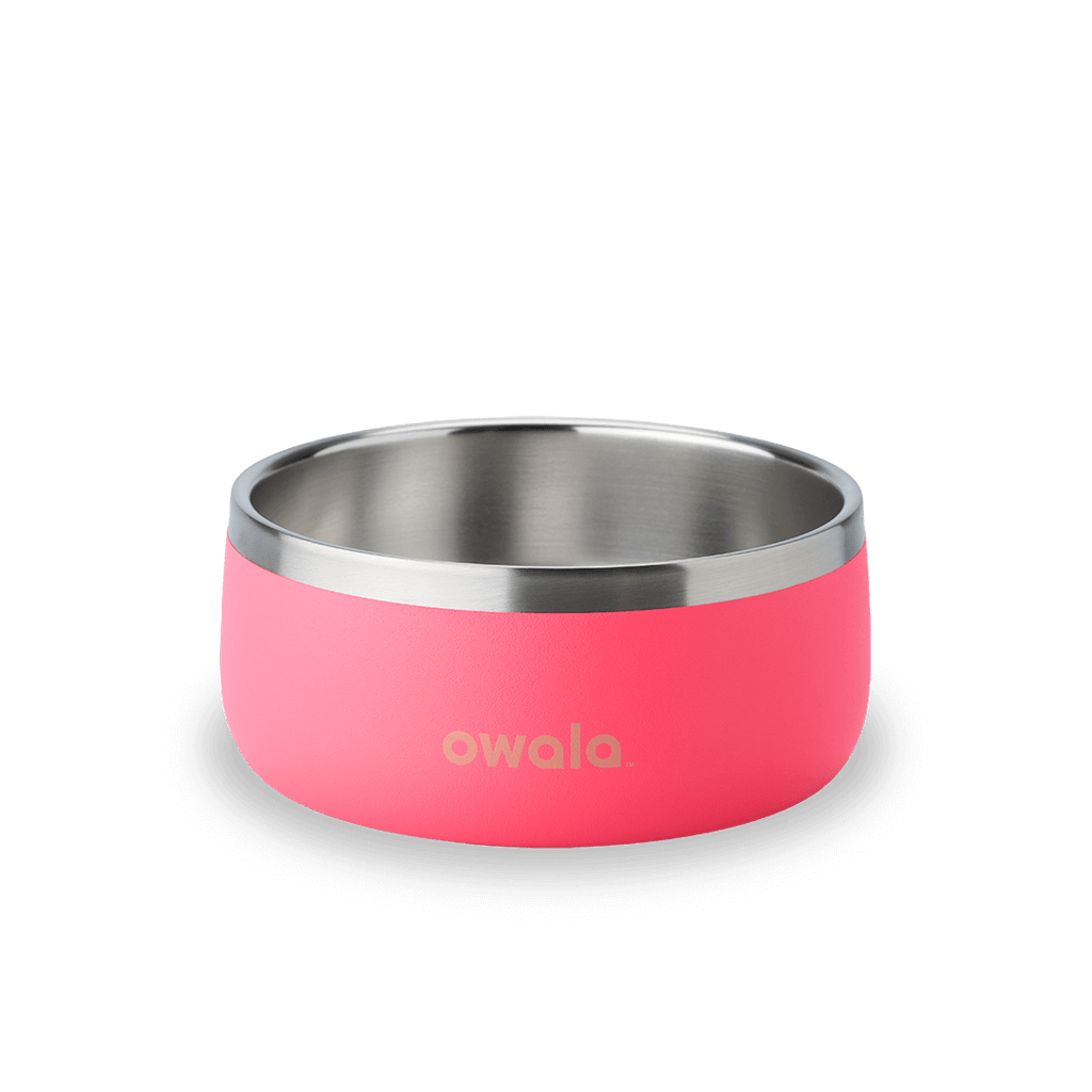 Select Pet Bowl | C3IEIUX9