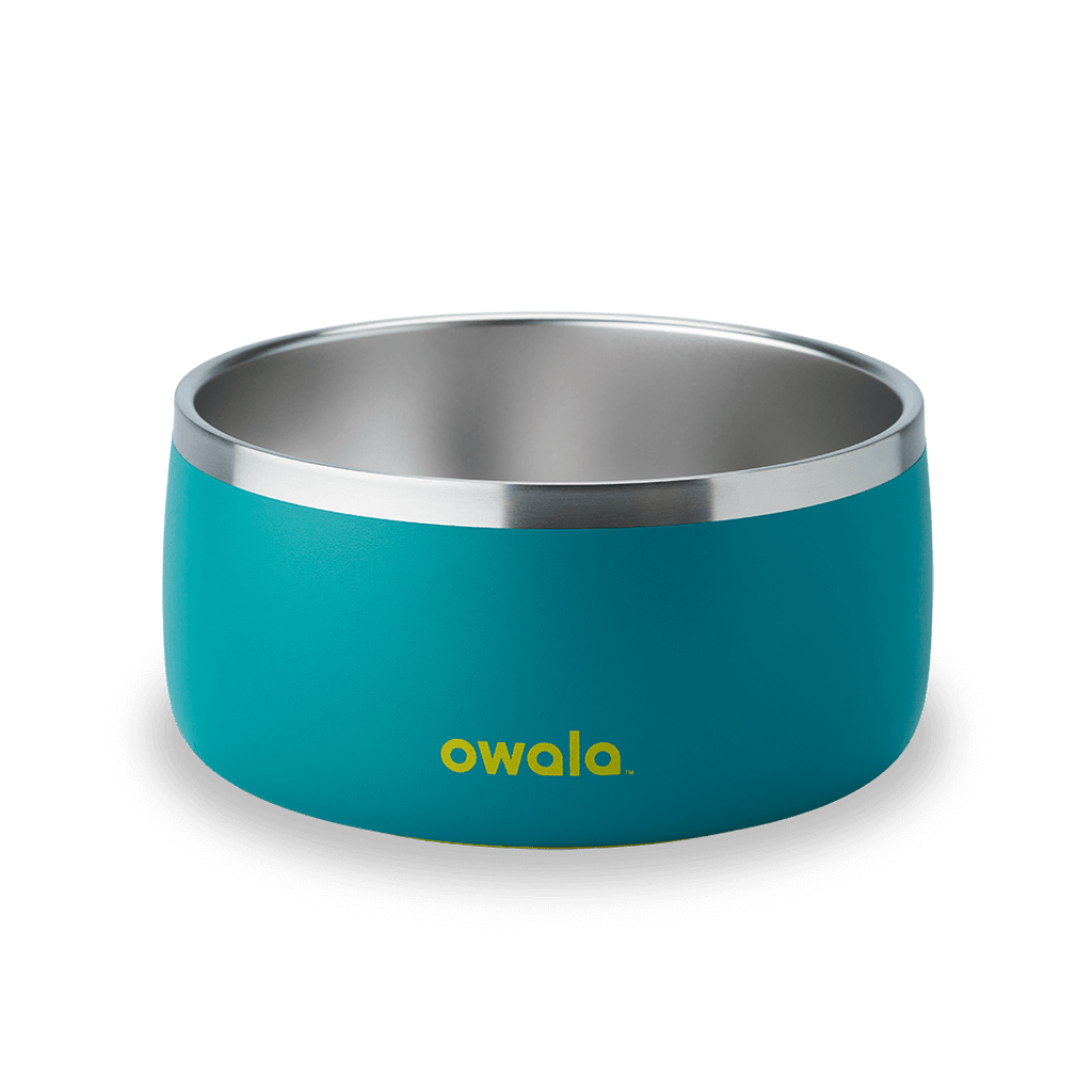 Select Pet Bowl | C3IEIUX9