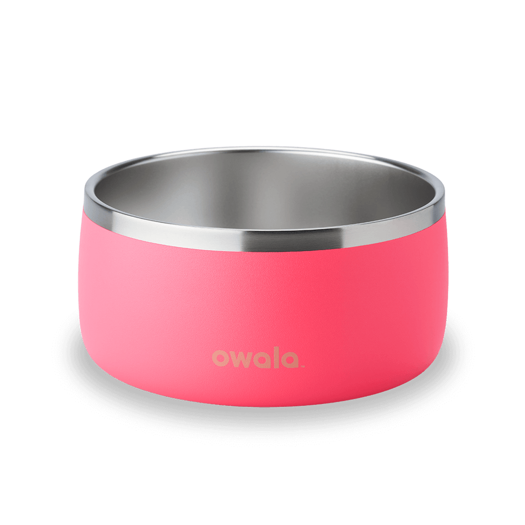 Select Pet Bowl | C3IEIUX9