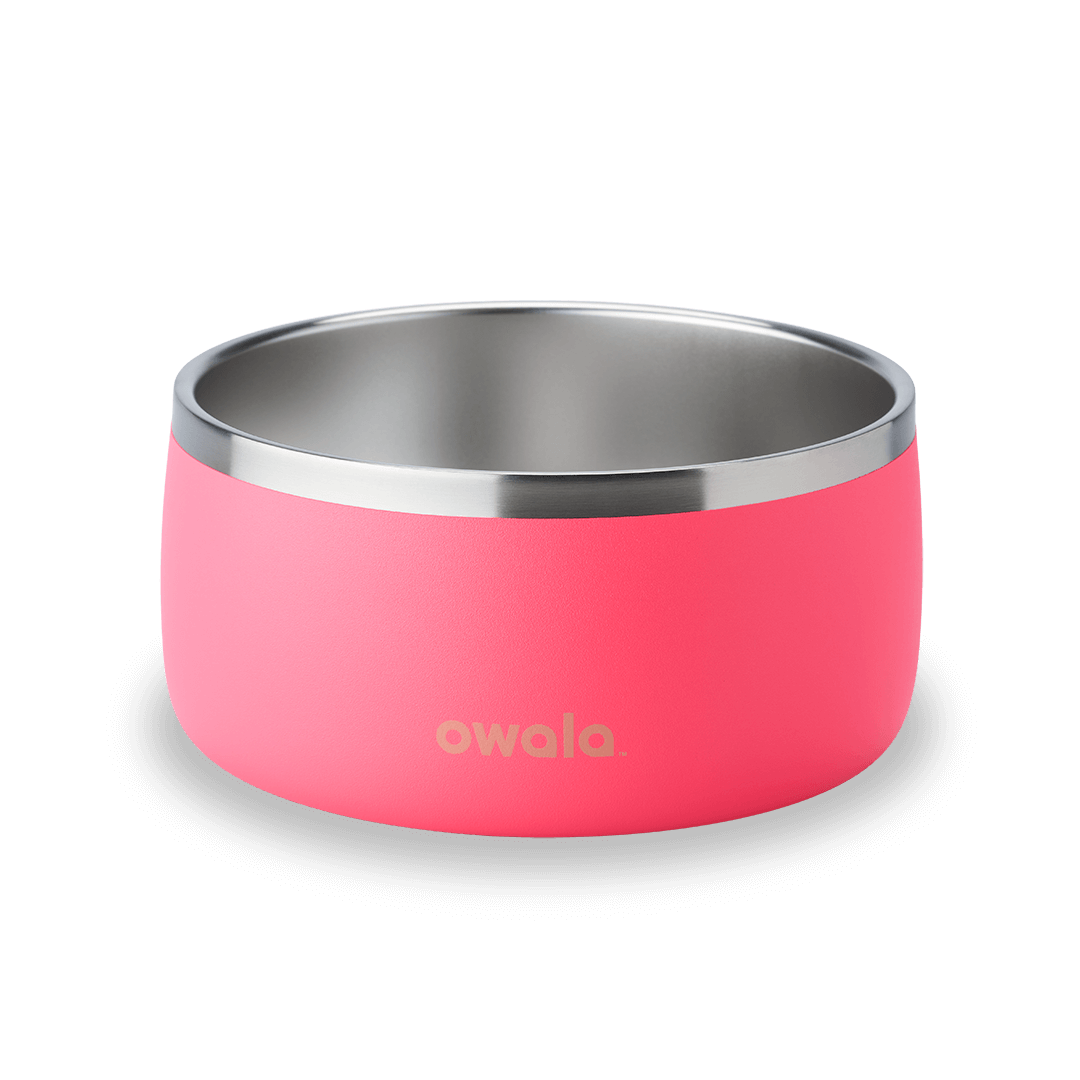 Select Pet Bowl | C3IEIUX9