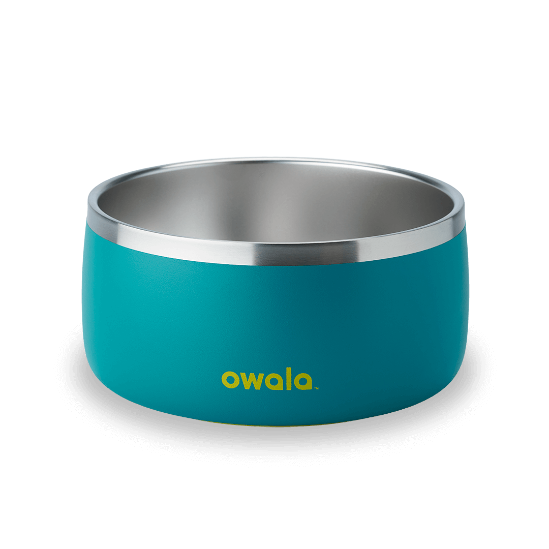 Select Pet Bowl | C3IEIUX9