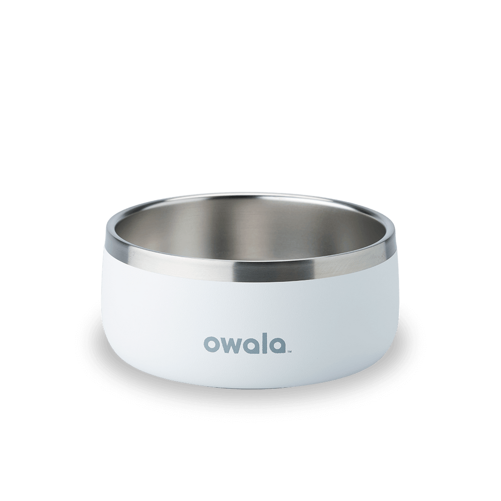 Select Pet Bowl | C3IEIUX9