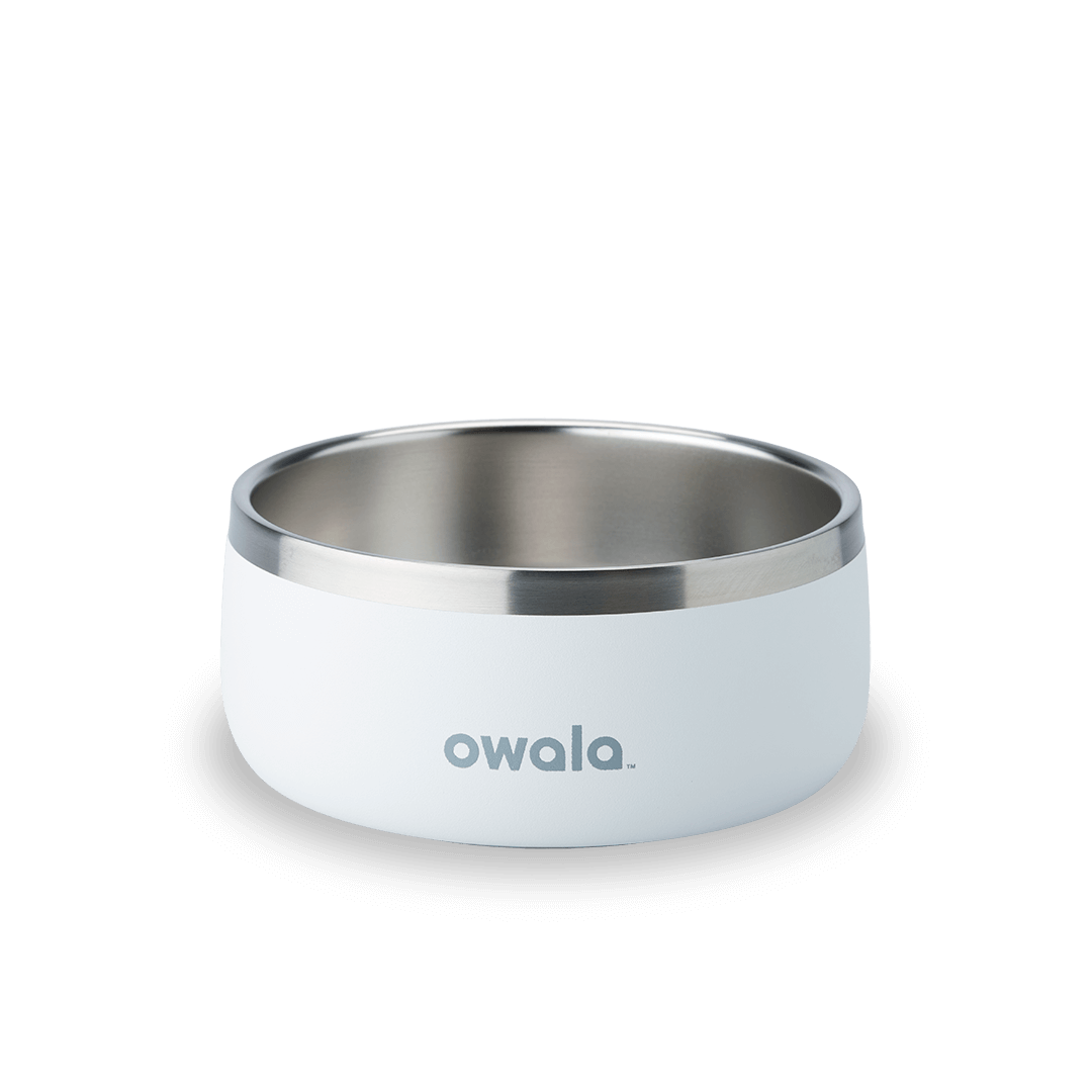 Select Pet Bowl | C3IEIUX9