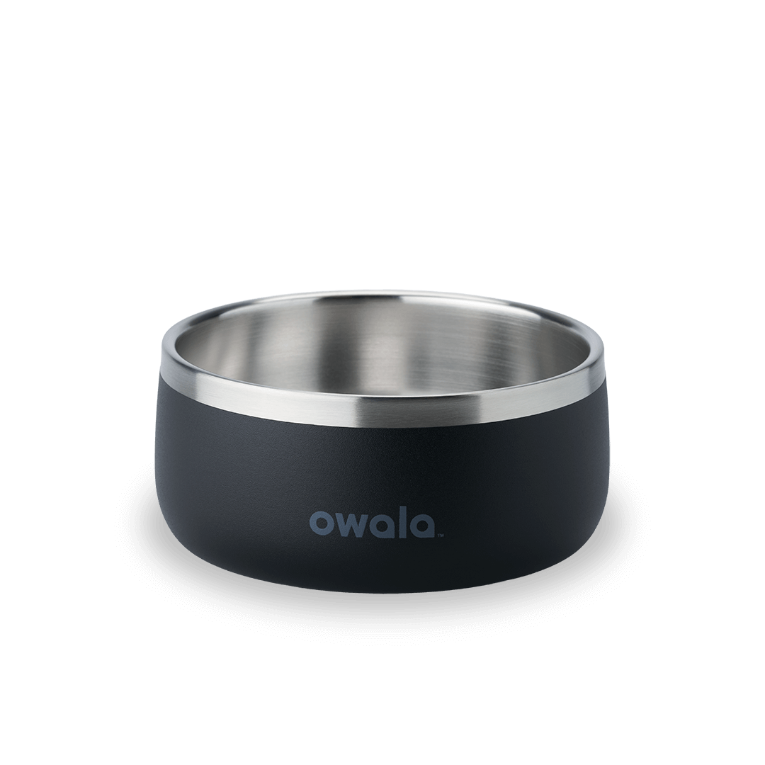 Select Pet Bowl | C3IEIUX9