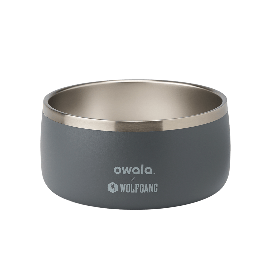 Select Pet Bowl | C3IEIUX9
