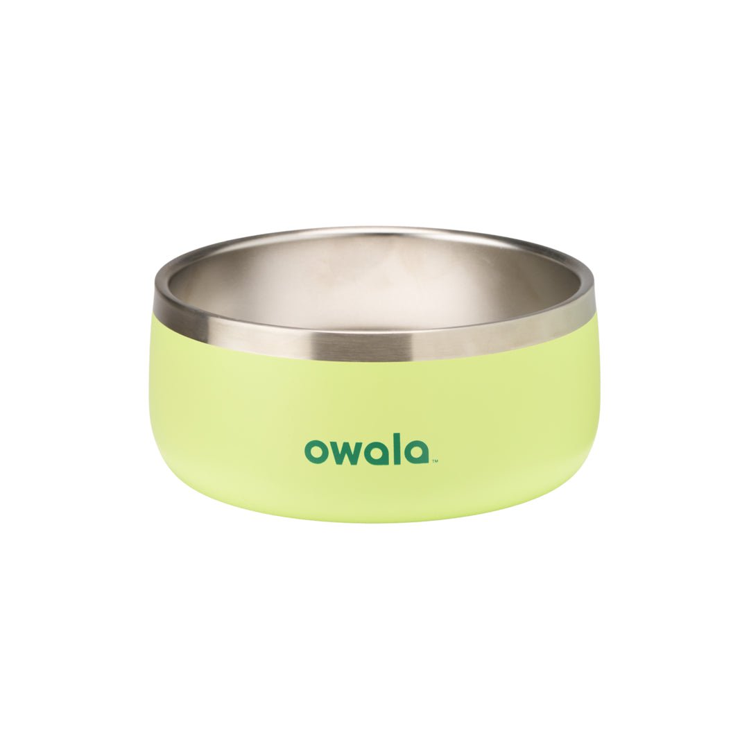 Select Pet Bowl | C3IEIUX9