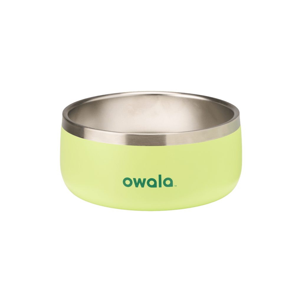 Select Pet Bowl | C3IEIUX9