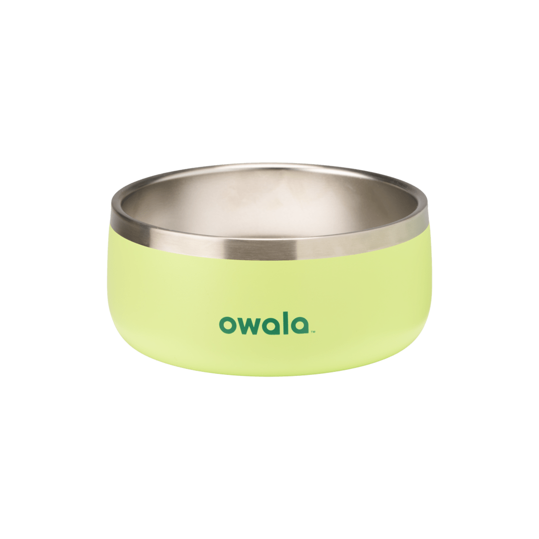Select Pet Bowl | C3IEIUX9