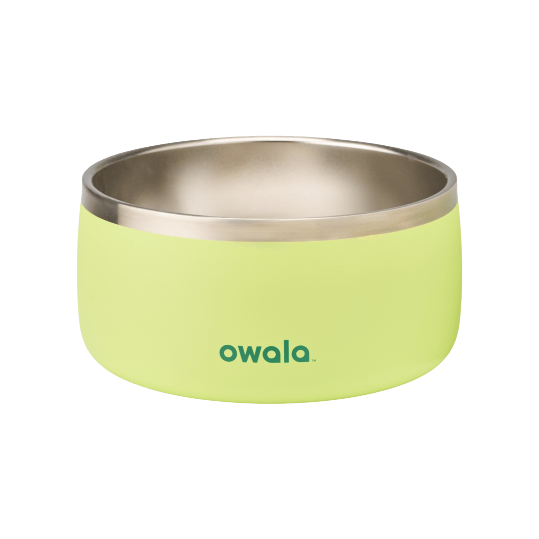 Select Pet Bowl | C3IEIUX9