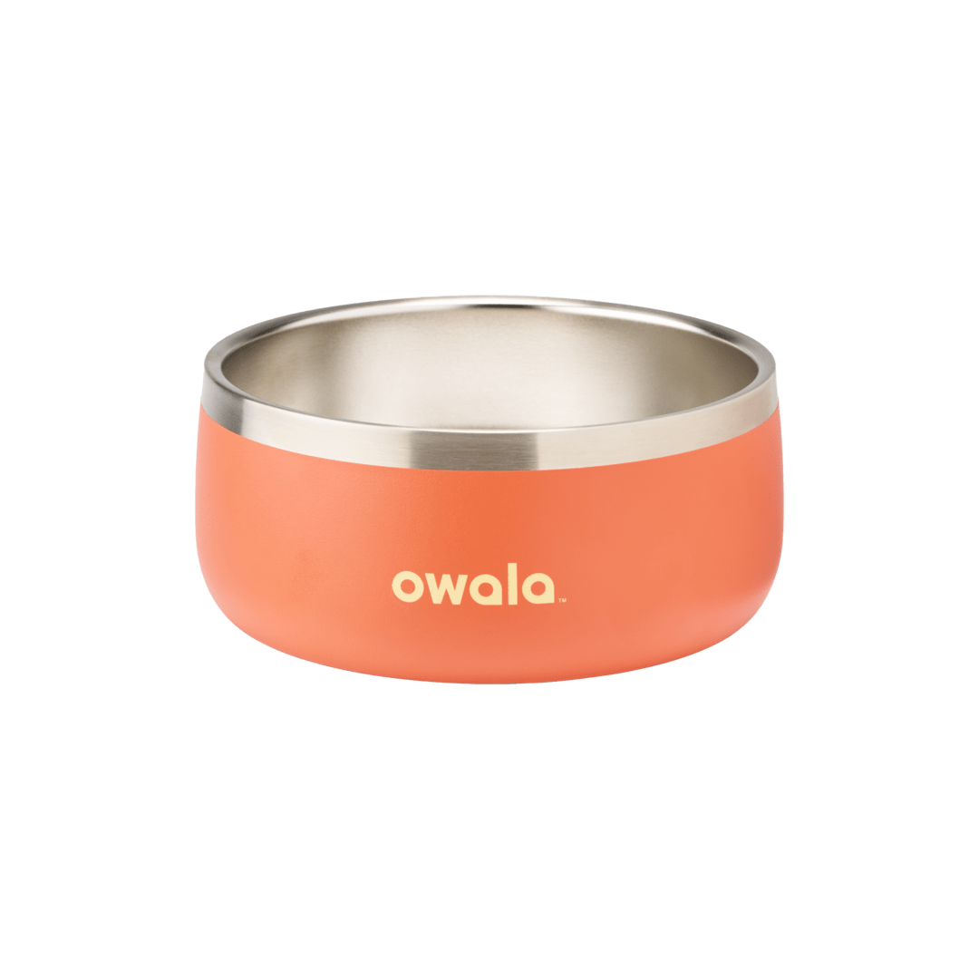 Select Pet Bowl | C3IEIUX9