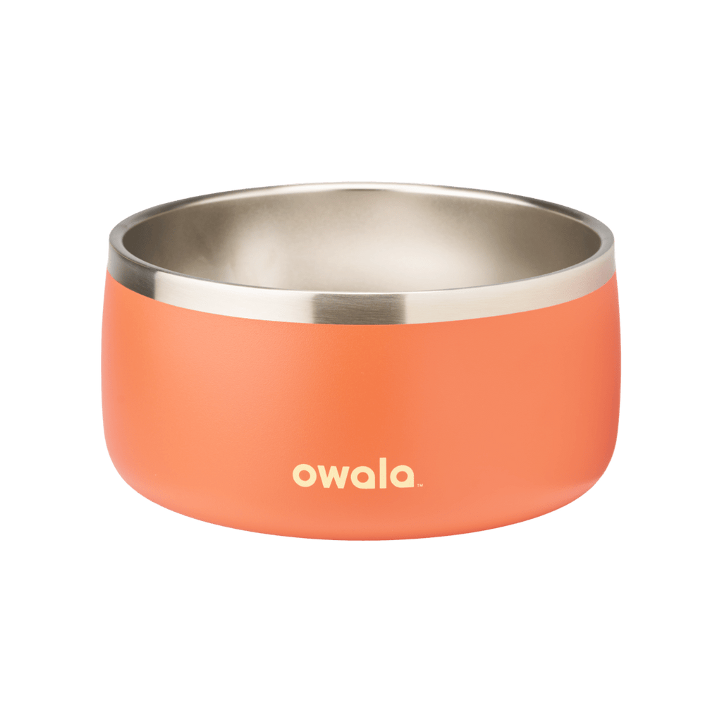 Select Pet Bowl | C3IEIUX9
