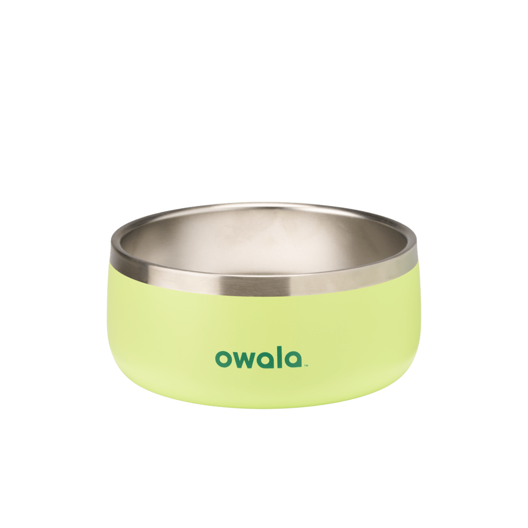 Select Pet Bowl | C3IEIUX9