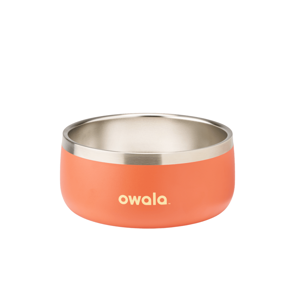 Select Pet Bowl | C3IEIUX9
