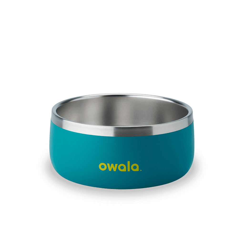 Select Pet Bowl | C3IEIUX9