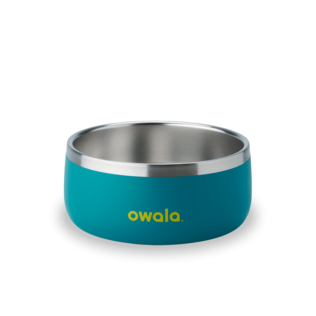 Select Pet Bowl | C3IEIUX9