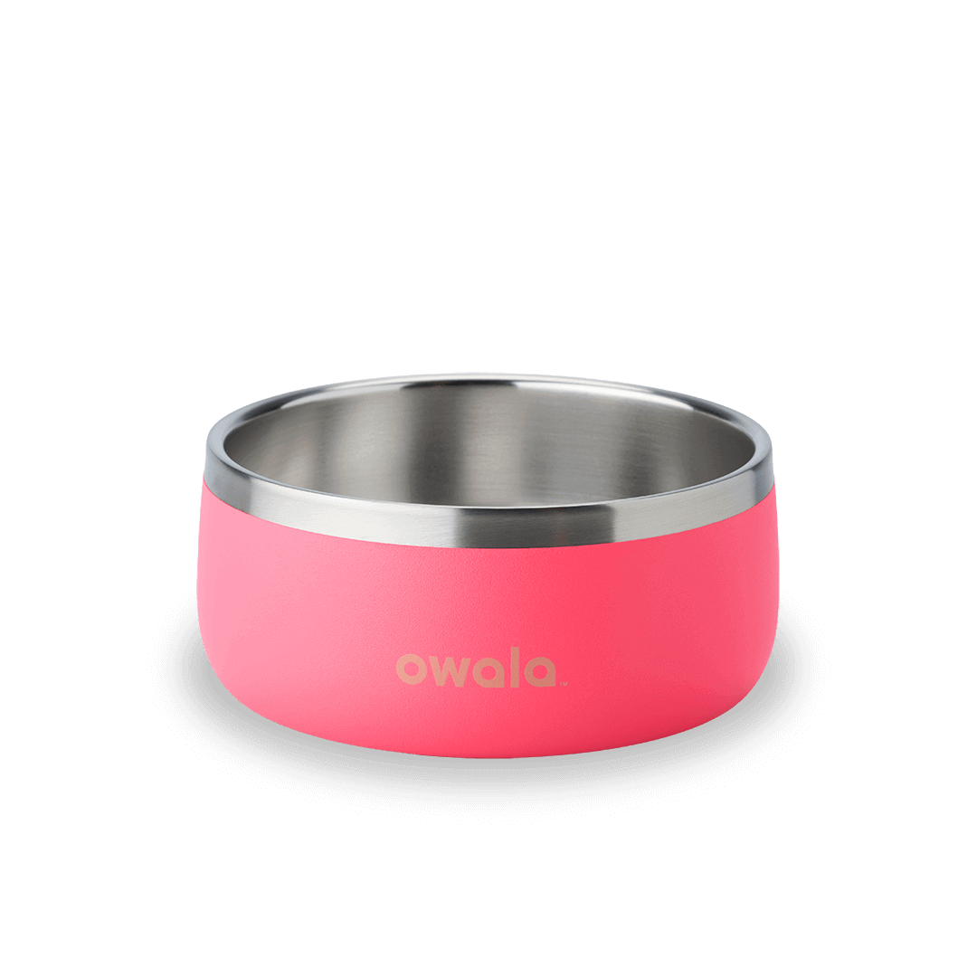 Select Pet Bowl | C3IEIUX9