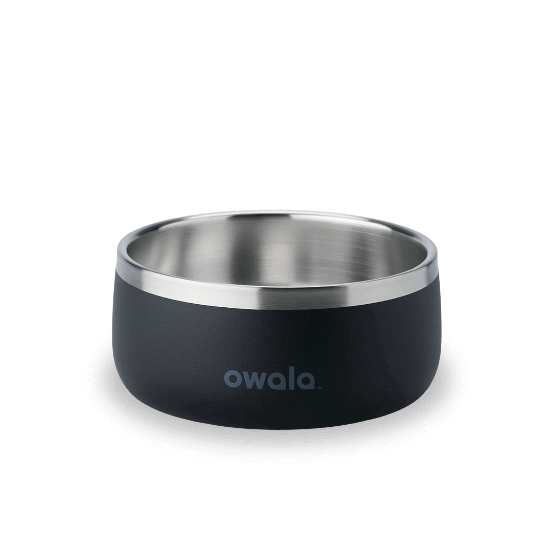 Select Pet Bowl | C3IEIUX9