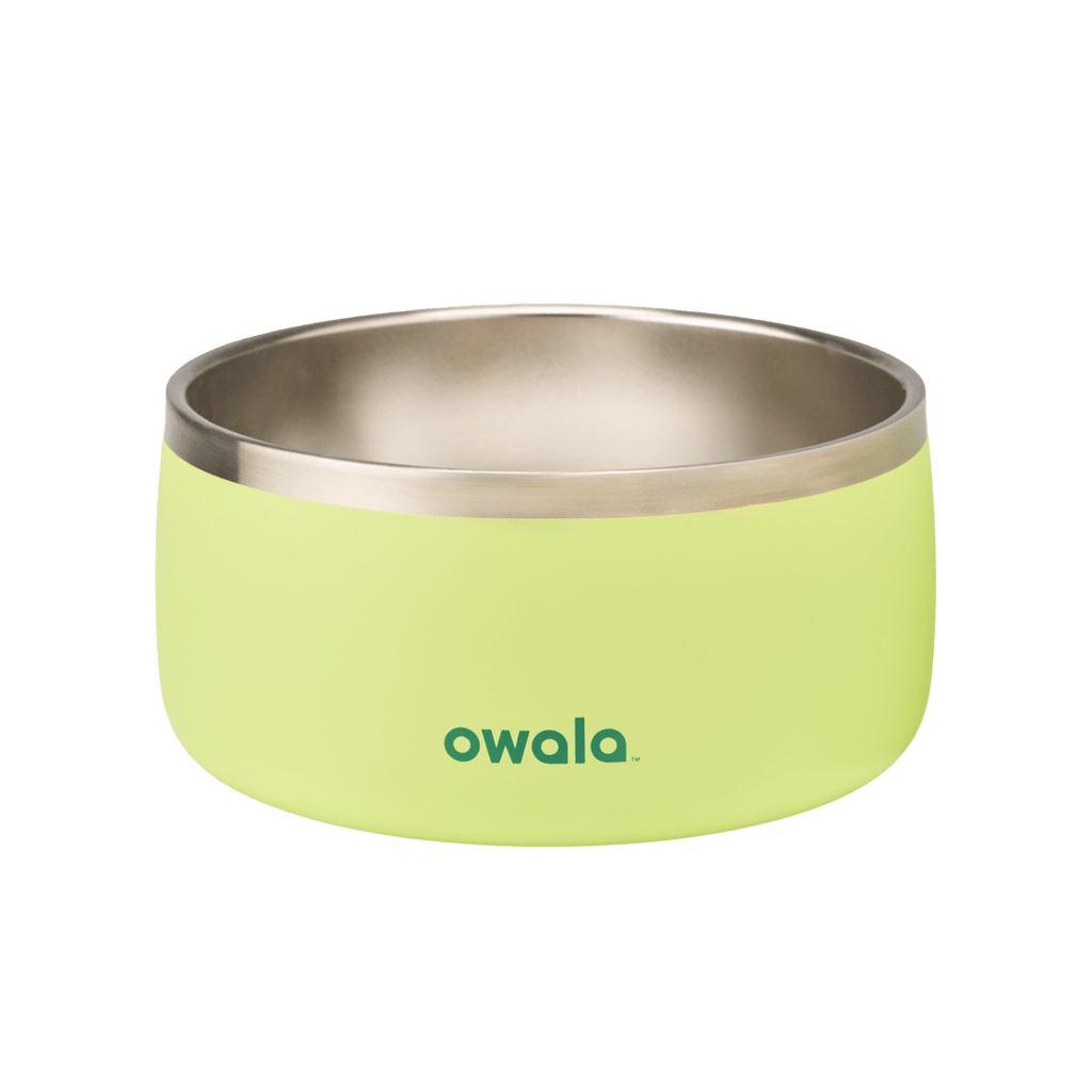 Select Pet Bowl | C3IEIUX9
