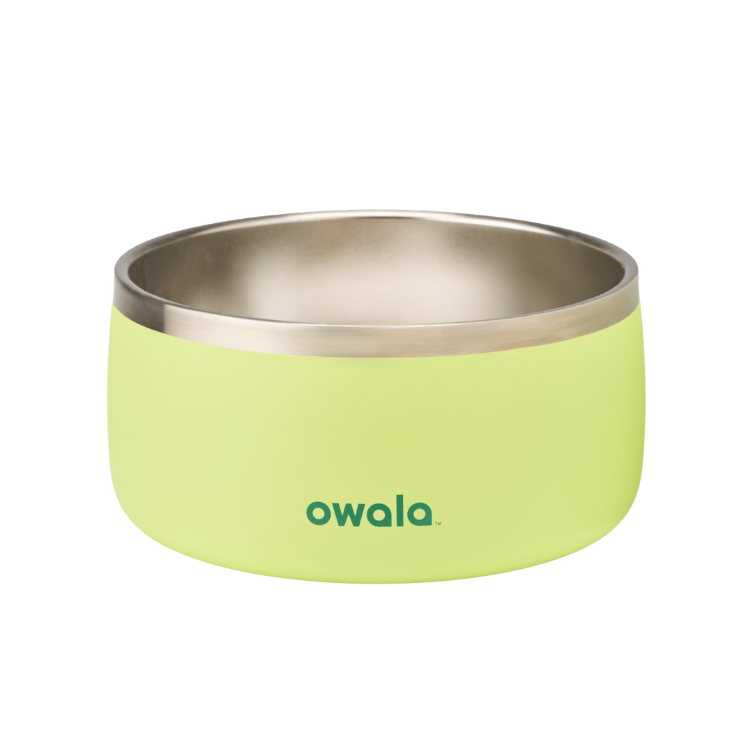 Select Pet Bowl | C3IEIUX9