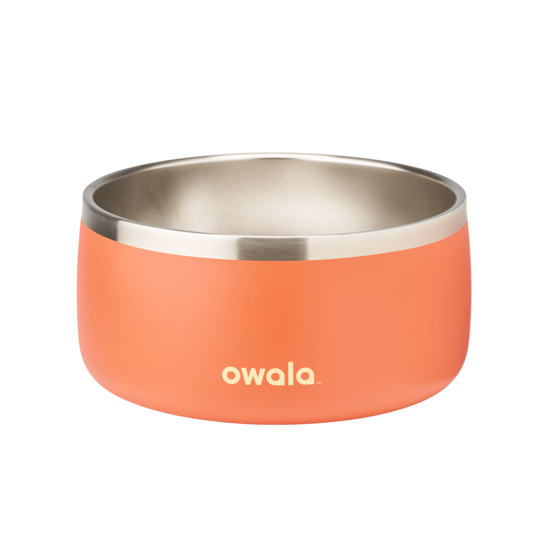 Select Pet Bowl | C3IEIUX9