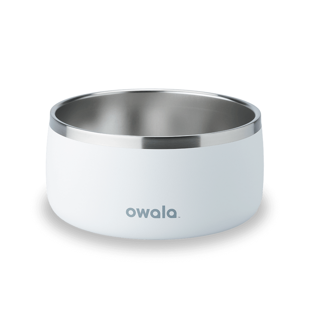 Select Pet Bowl | C3IEIUX9