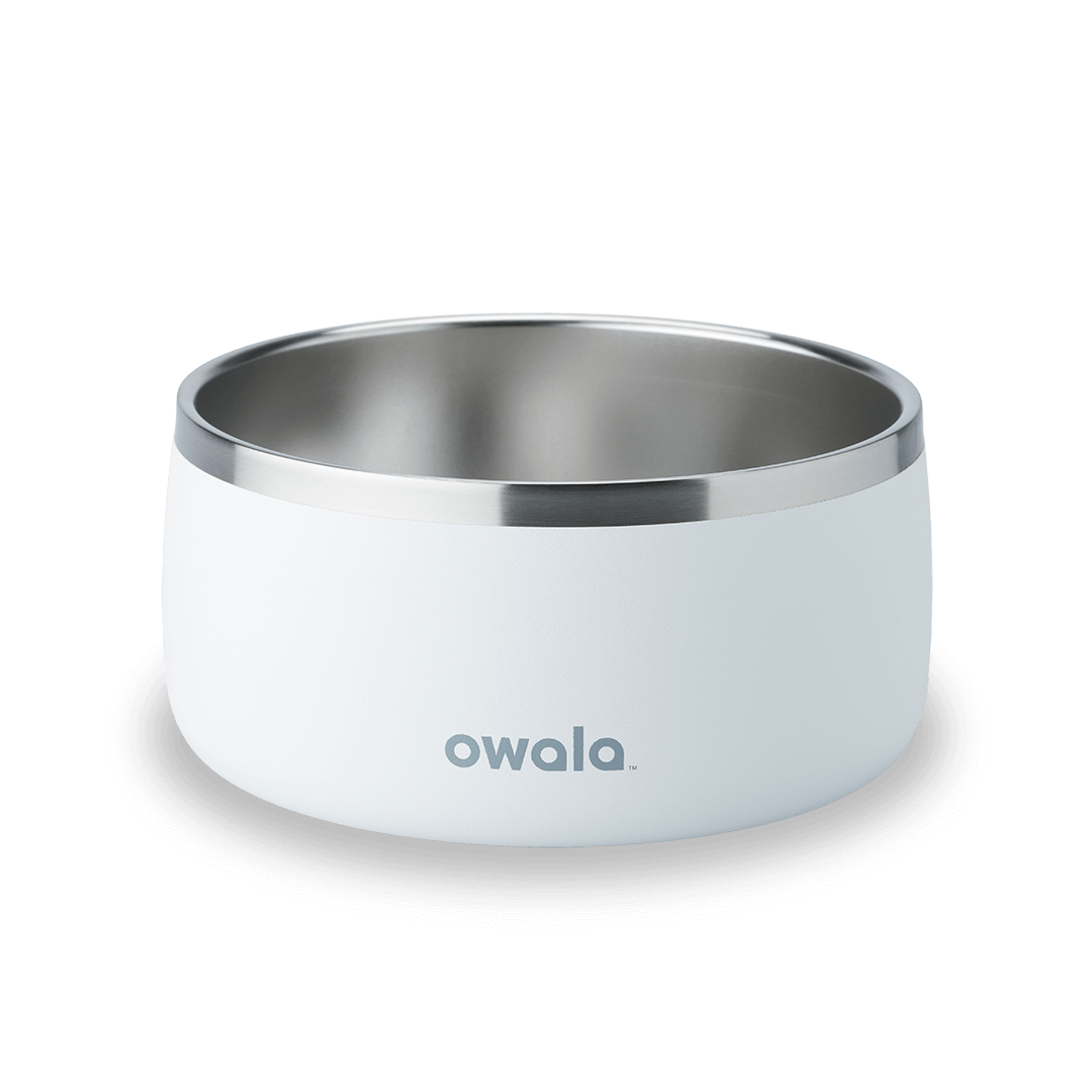 Select Pet Bowl | C3IEIUX9