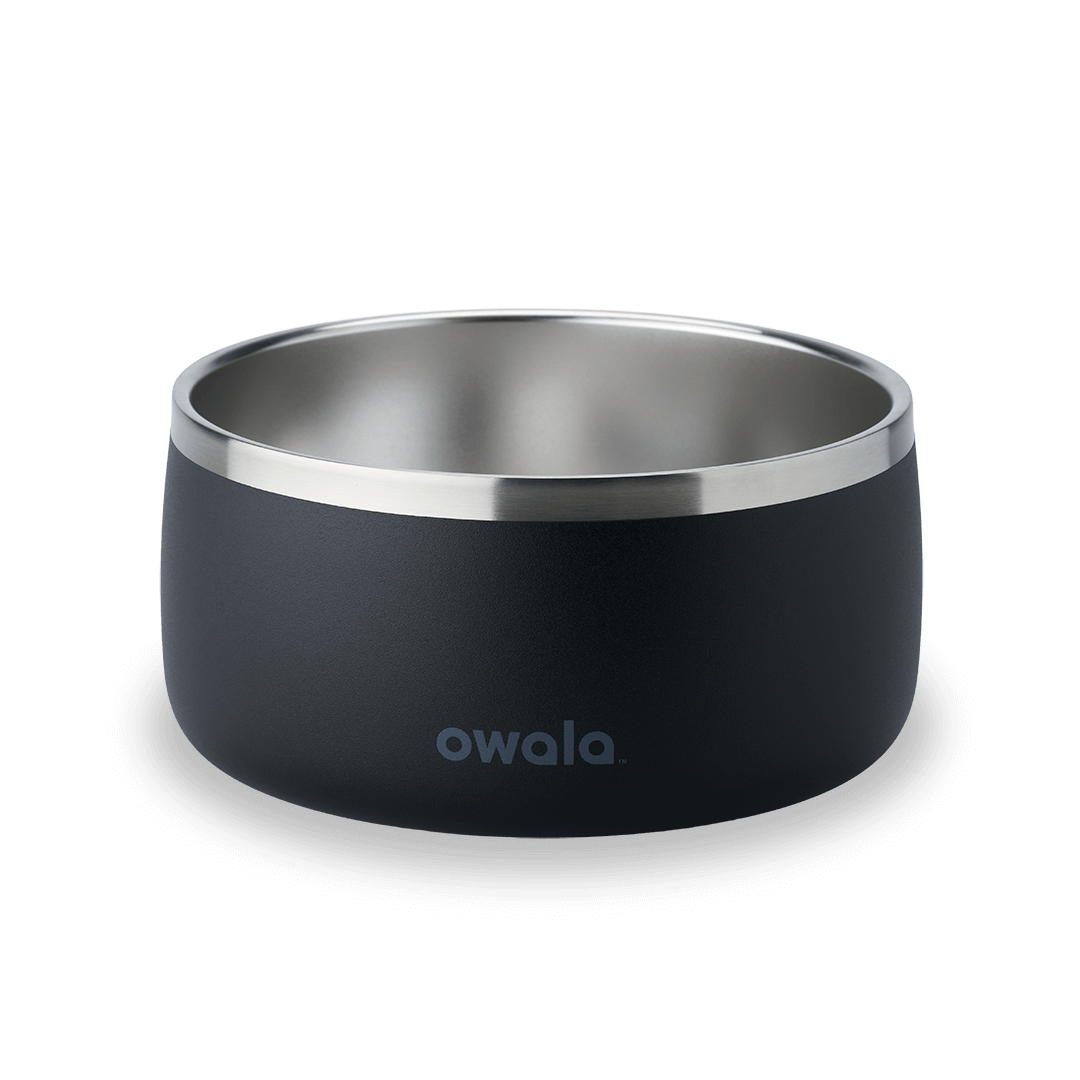 Select Pet Bowl | C3IEIUX9