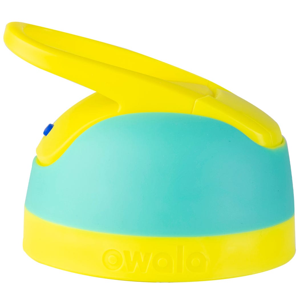 Select Replacement Lids | C3A8QND8