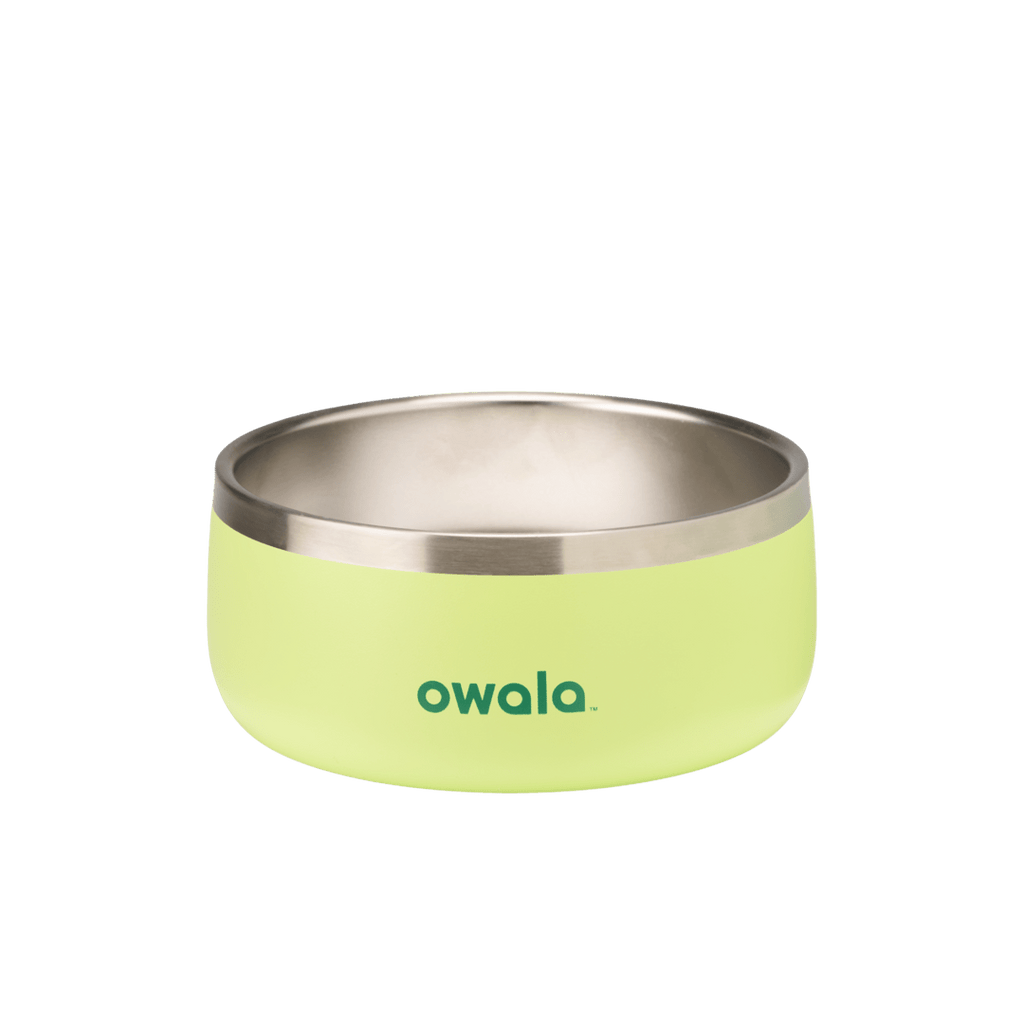 Select Pet Bowl | C3IEIUX9